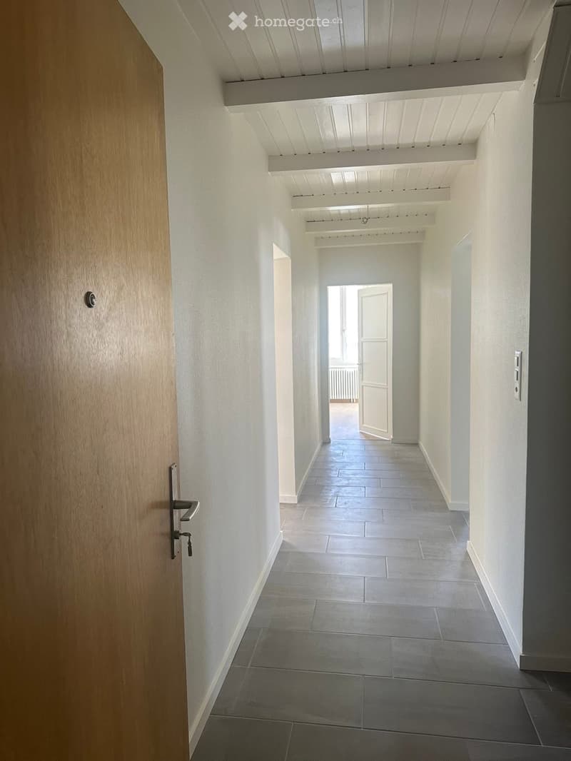 Appartement 3 pièces rénové (5)