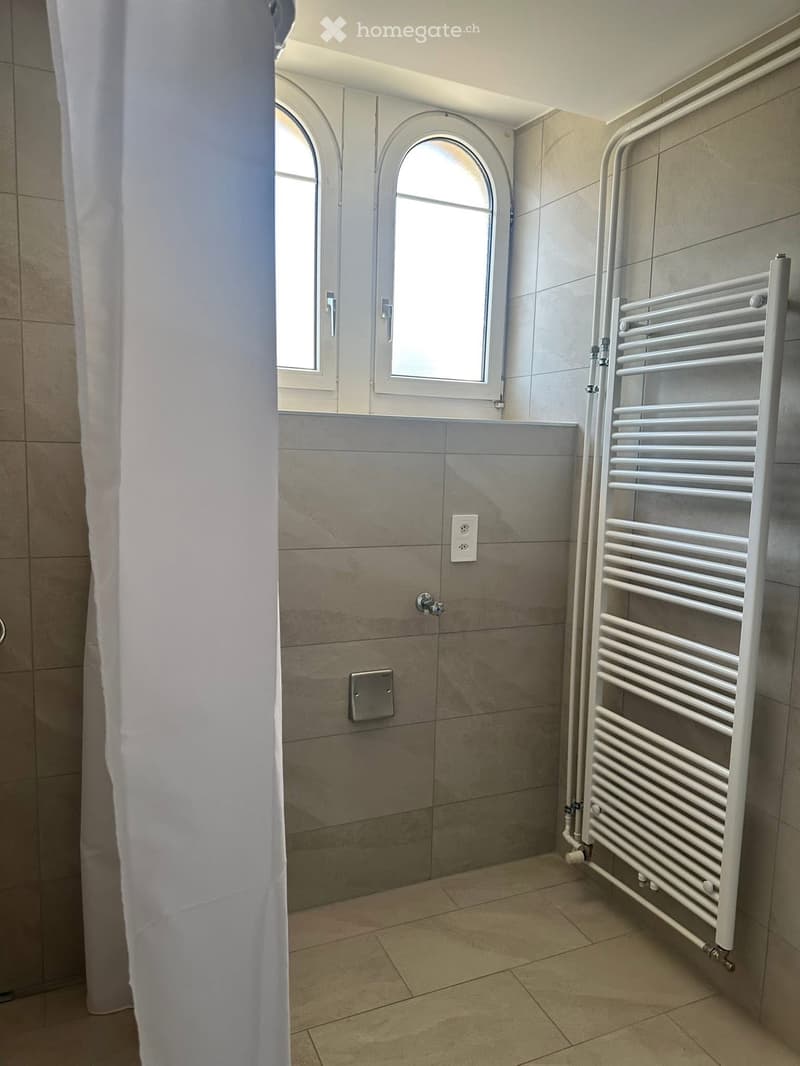 Appartement 3 pièces rénové (2)