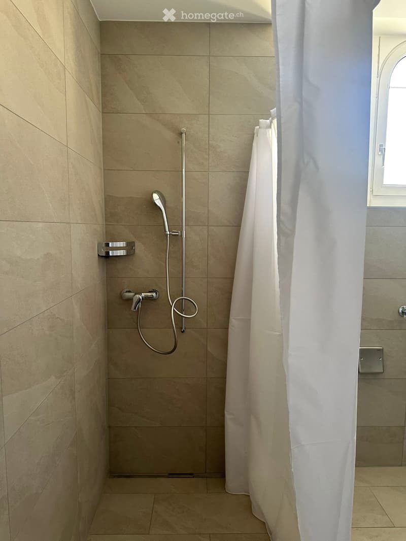 Appartement 3 pièces rénové (3)