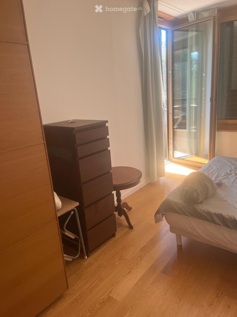 Chambre en colocation 16 2 (2)
