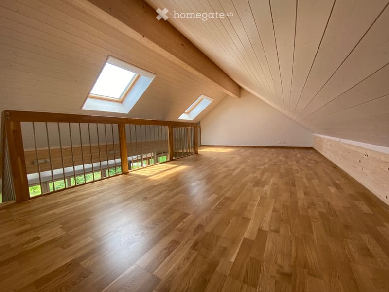 Magnifique Duplex vue Lac (5)