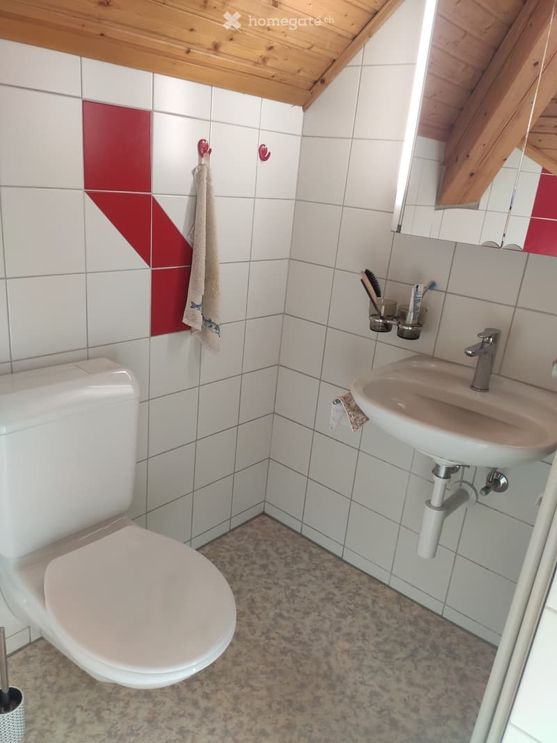 Bail à remettre 2 pièces à Fribourg (1)
