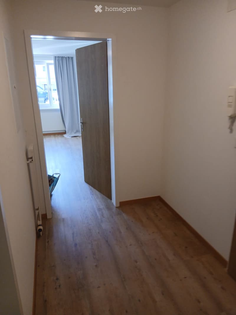 Sofortiger Nachmieter gesucht  1.5-Zimmer-Wohnung in Bözen (3)