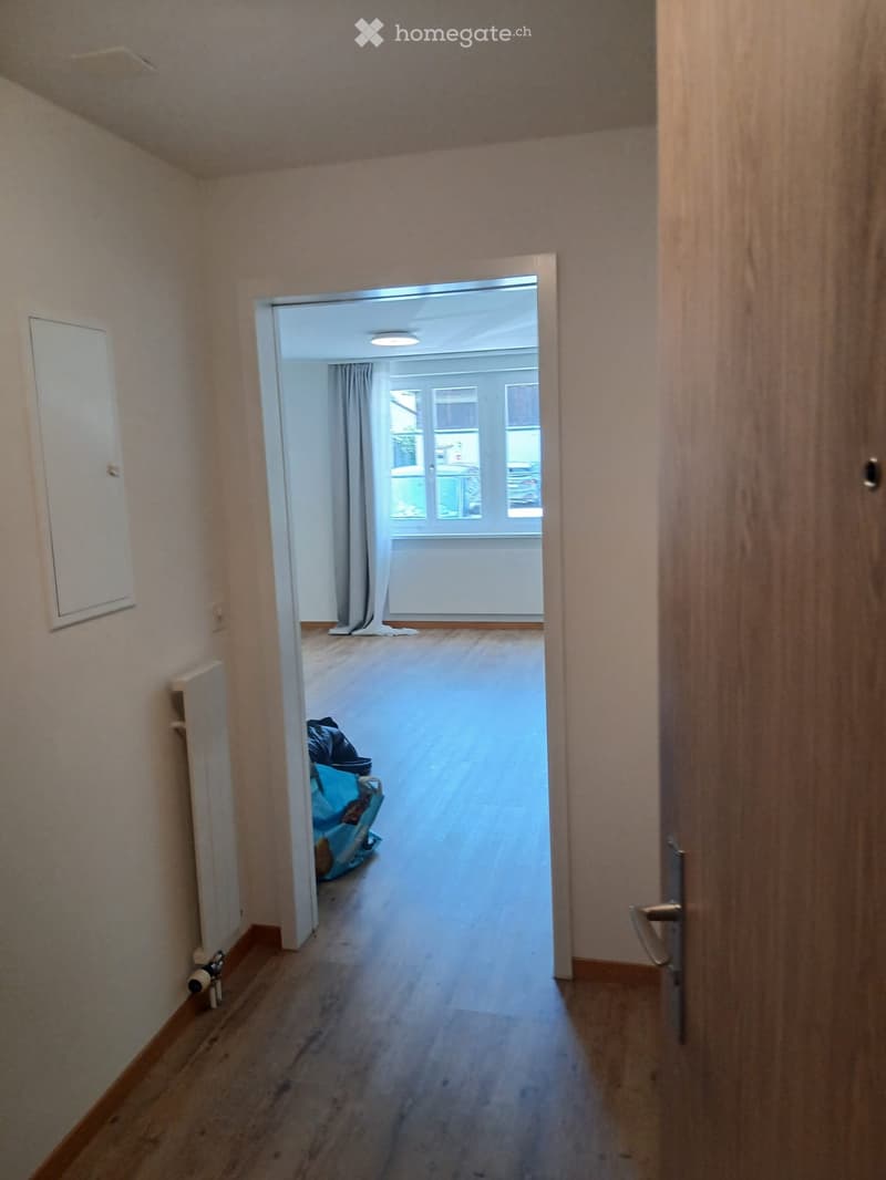 Sofortiger Nachmieter gesucht  1.5-Zimmer-Wohnung in Bözen (5)