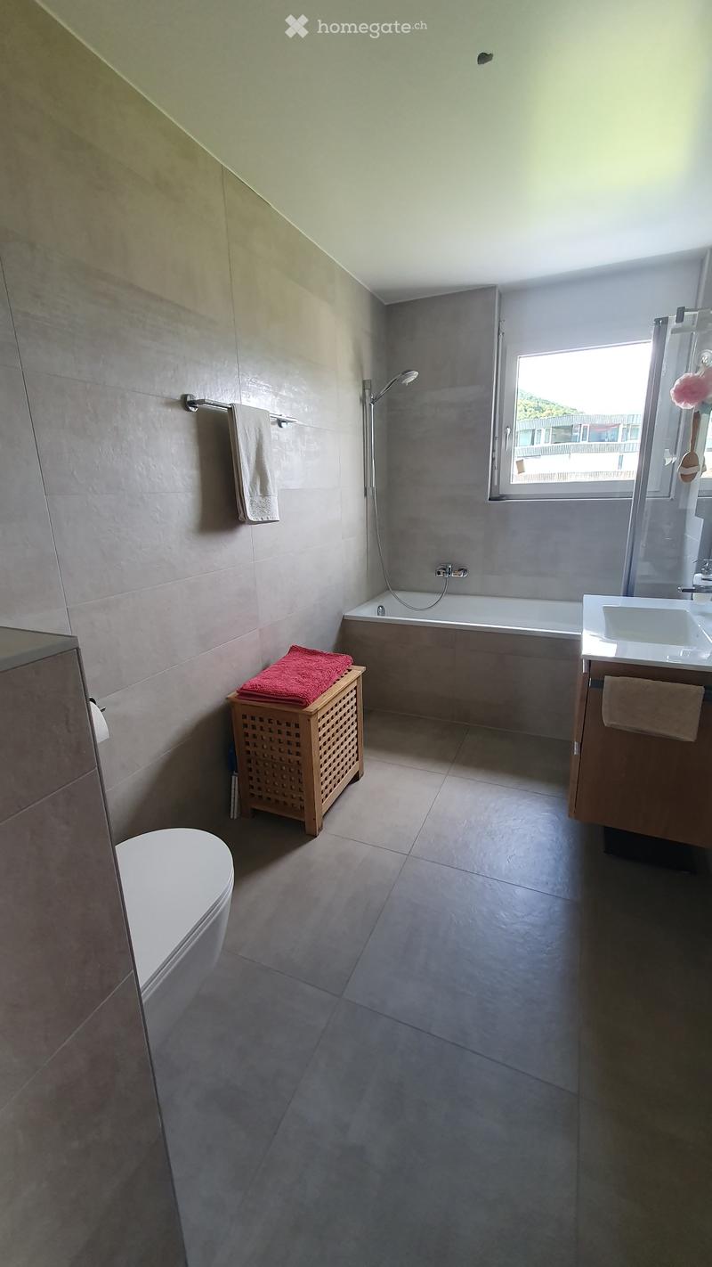 Reprise de bail magnifique apt 2.5 Monthey (4)