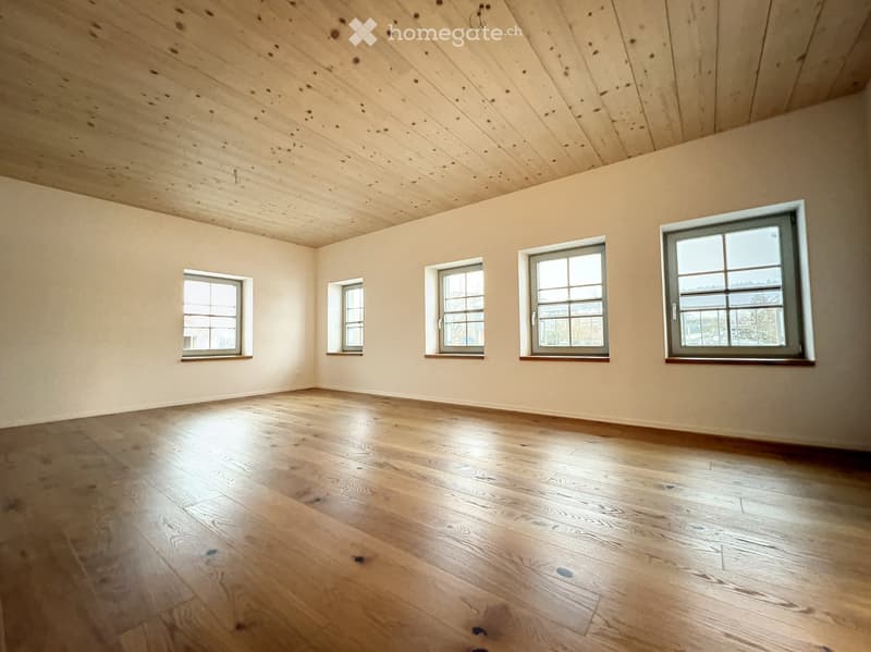 Magnifique duplex de 3,5 pièces à Formangueires (FR) (1)
