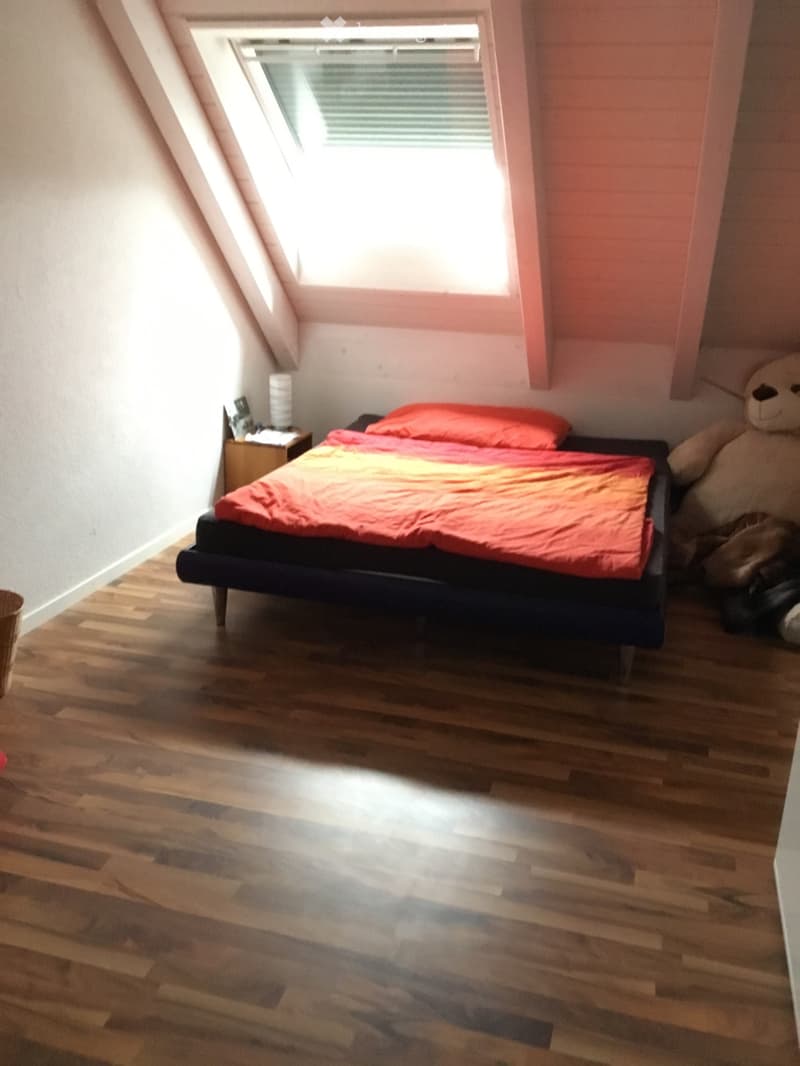 Zu vermiete (4)