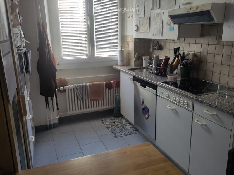 Appartement quartier rue de la côte, vue sur le lac (5)