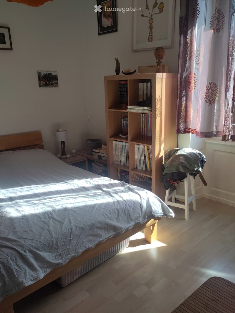 Appartement quartier rue de la côte, vue sur le lac (3)