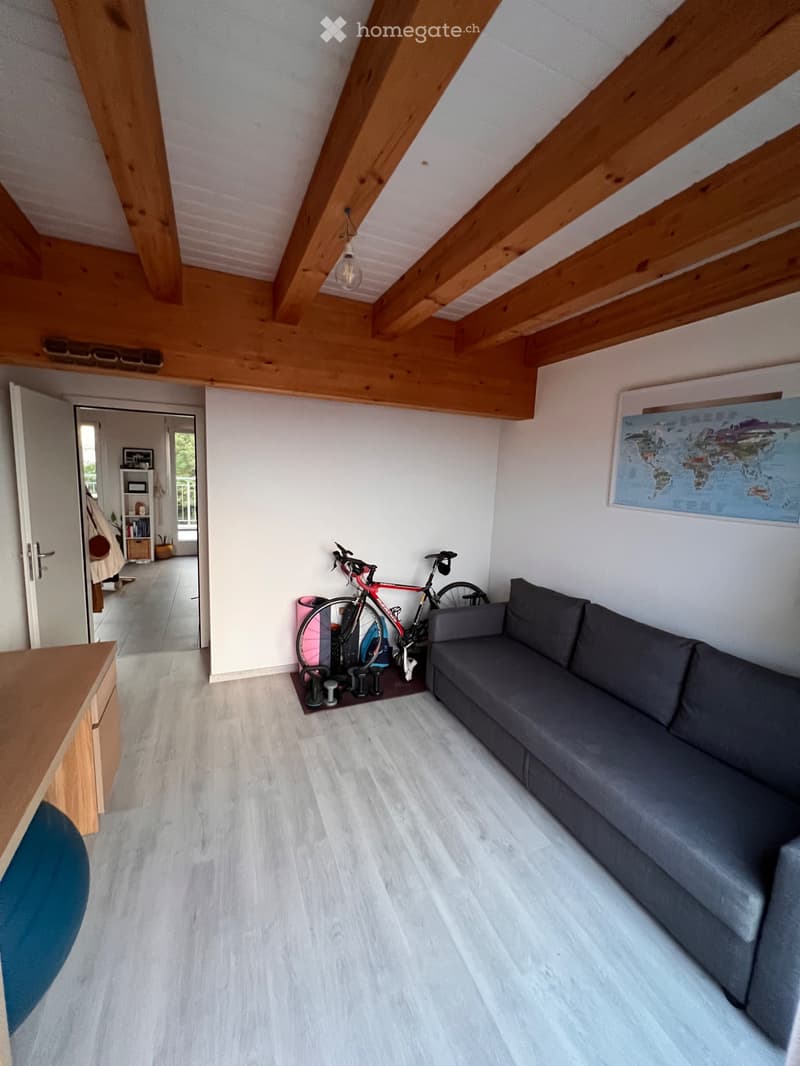 Magnifique Appartement à Yverdon (5)