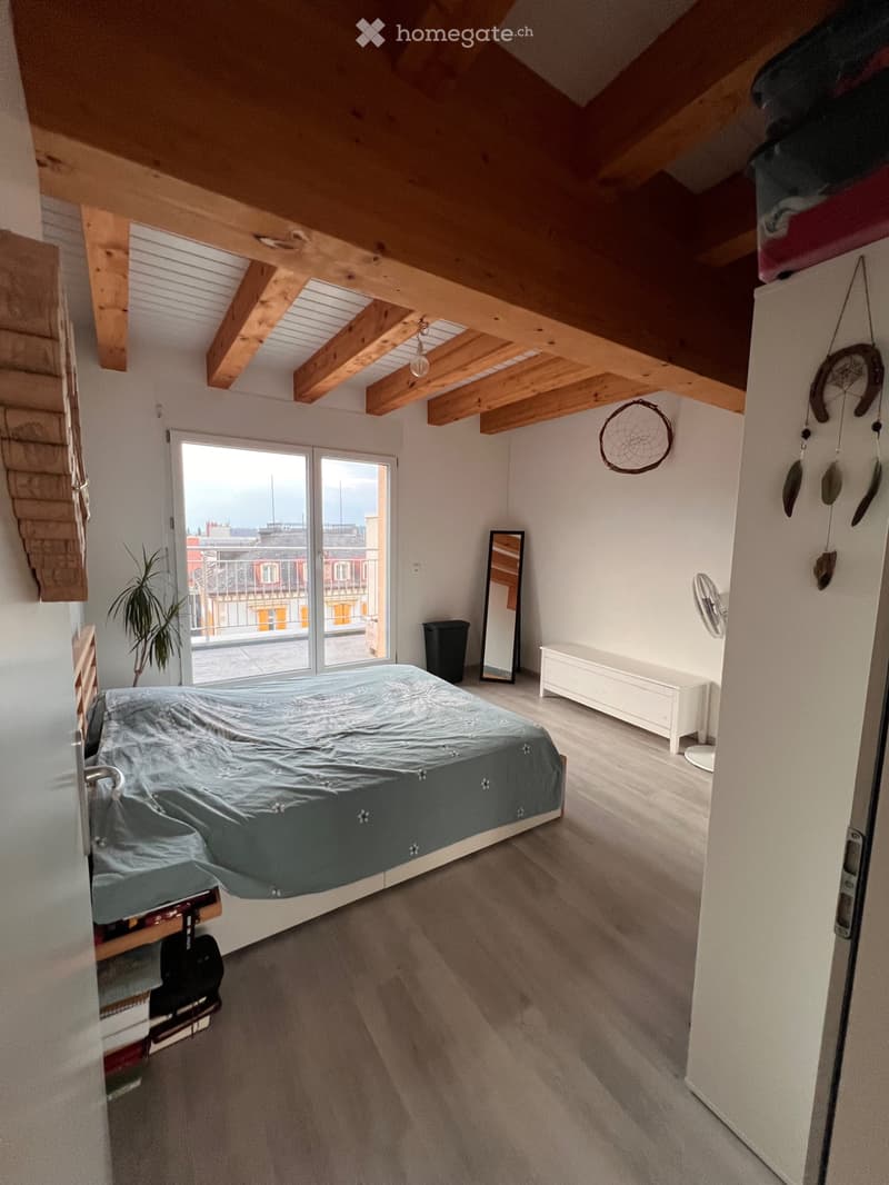Magnifique Appartement à Yverdon (2)