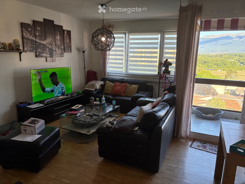 Reprise de bail 7 pièces de 124 m² à Meyrin (4)