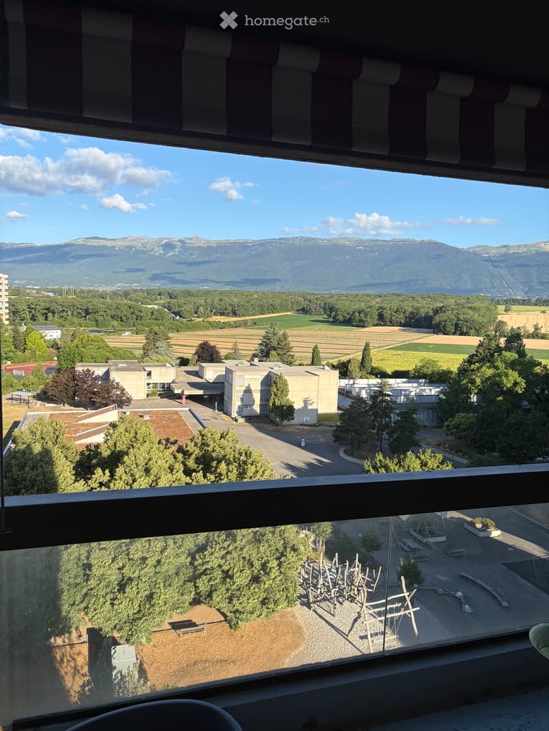 Reprise de bail 7 pièces de 124 m² à Meyrin (3)