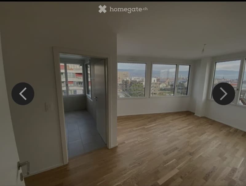 Magnifique appartement (4)
