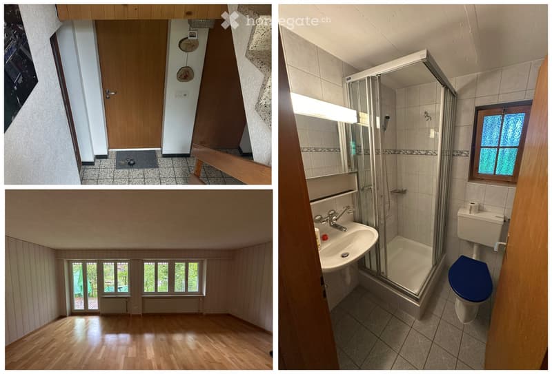 Grosszügige 1-Zimmer Ferienwohnung / Studio im Diemtigtal (4)