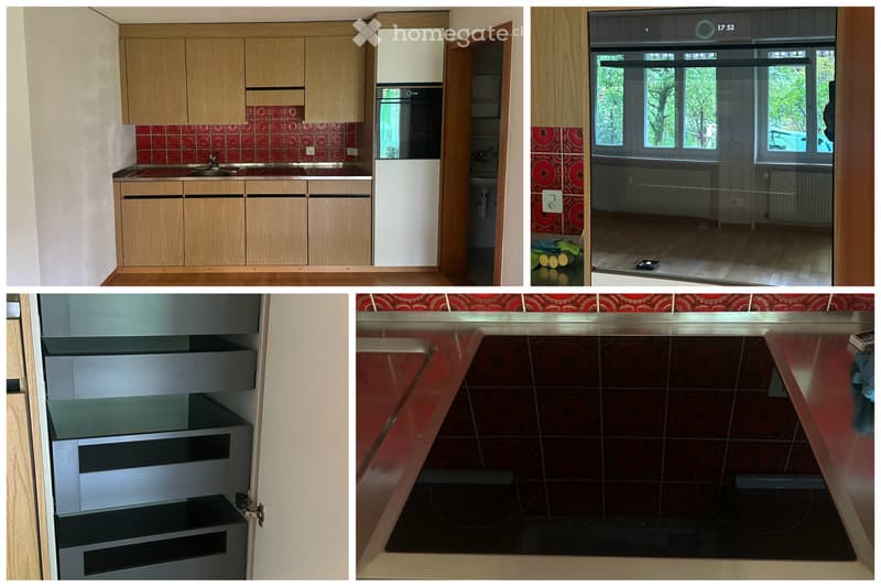 Grosszügige 1-Zimmer Ferienwohnung / Studio im Diemtigtal (5)