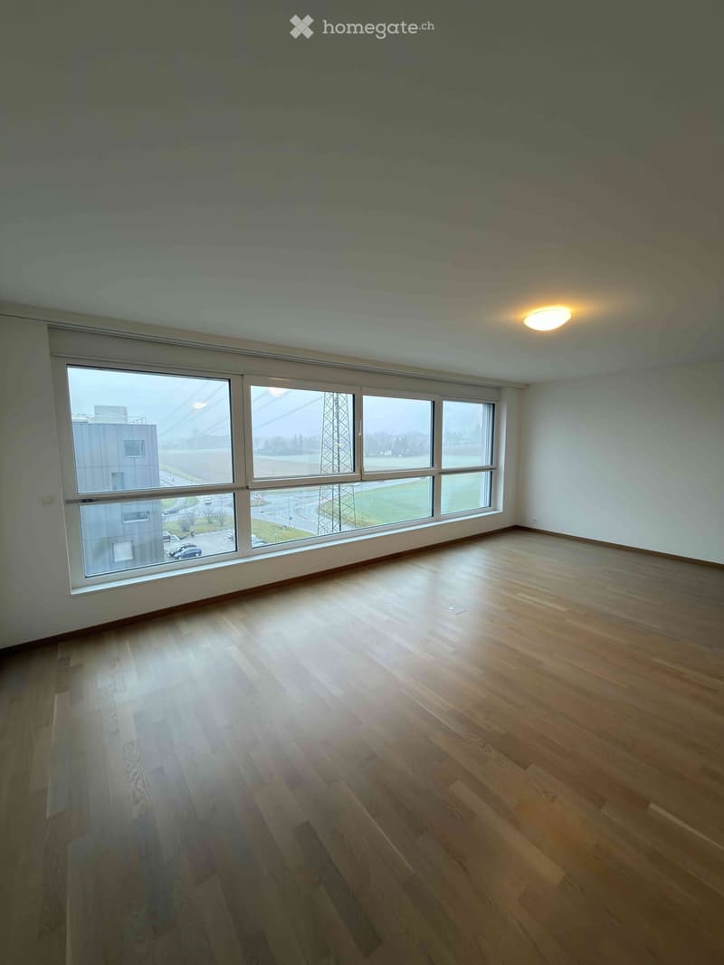 Magnifique appartement à Nyon (3)