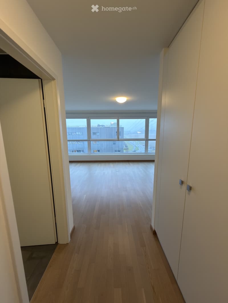 Magnifique appartement à Nyon (2)
