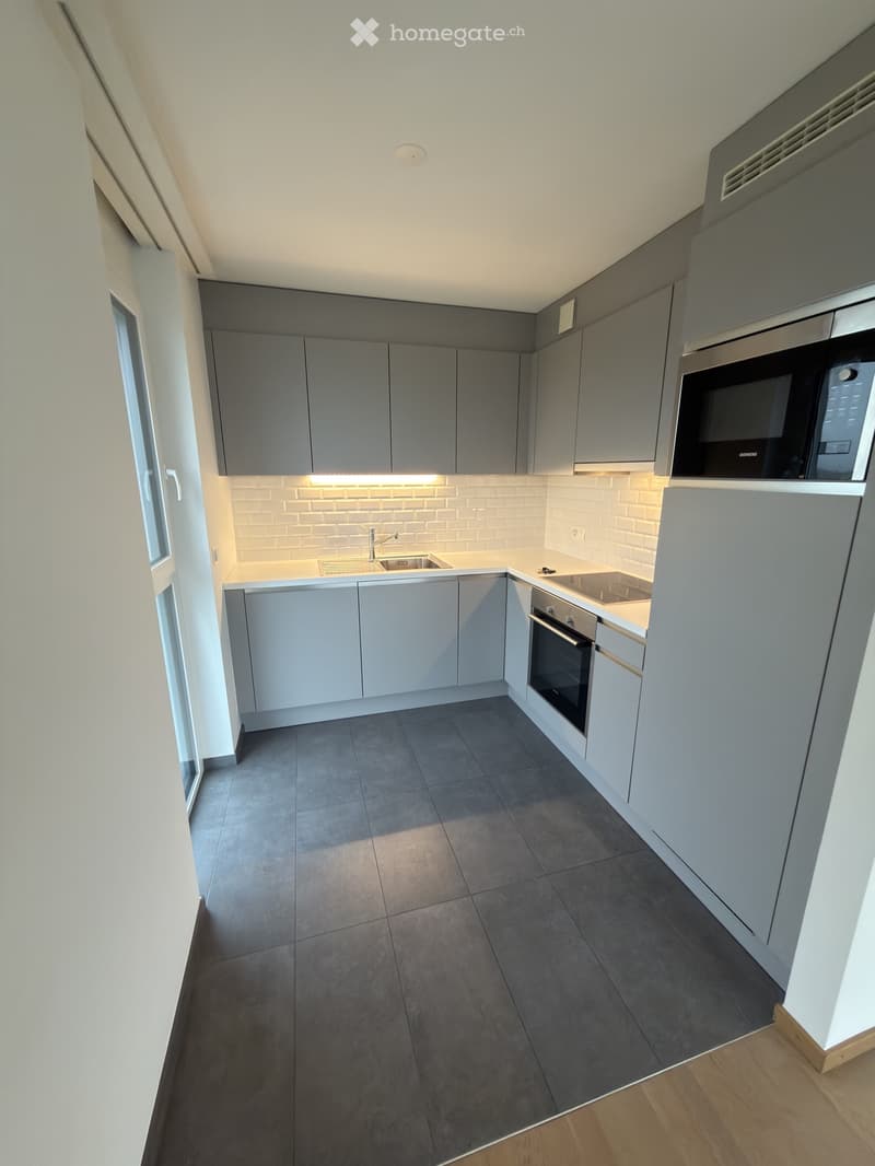 Magnifique appartement à Nyon (4)