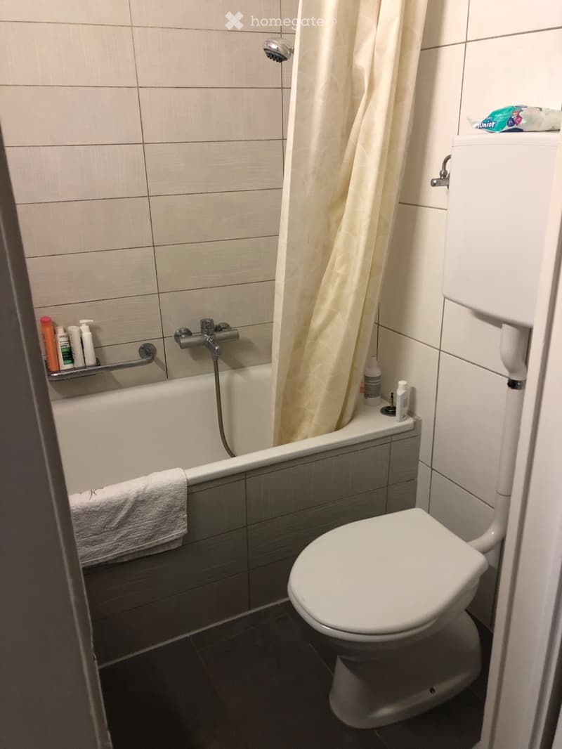 3 pièces à lentrée de la vieille-ville (4)
