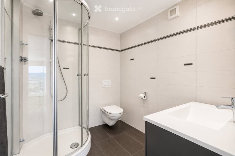 Genève, villa d'exception à vendre (8)