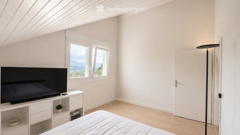 Genève, villa d'exception à vendre (11)