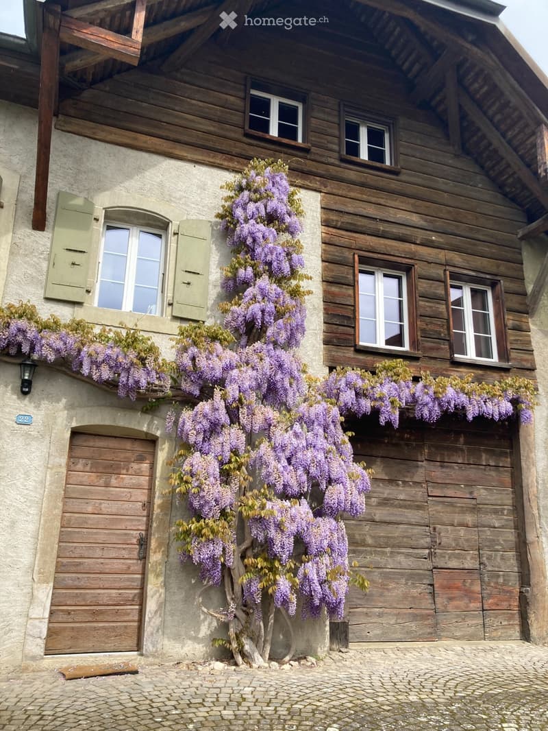 Charmant appartement mansardé de 5.5 pièces à Tolochenaz (1)