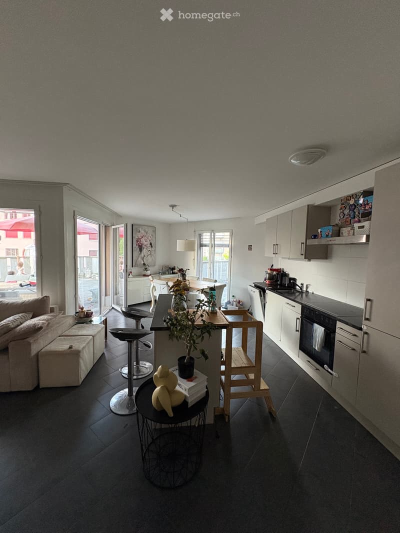 Appartement 4.5 avec grande terrasse (1)