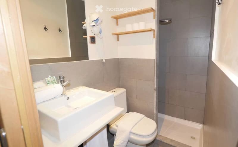 Studio meublé sur av. de la Gare, 1022 Chavannes-près-Renens (5)