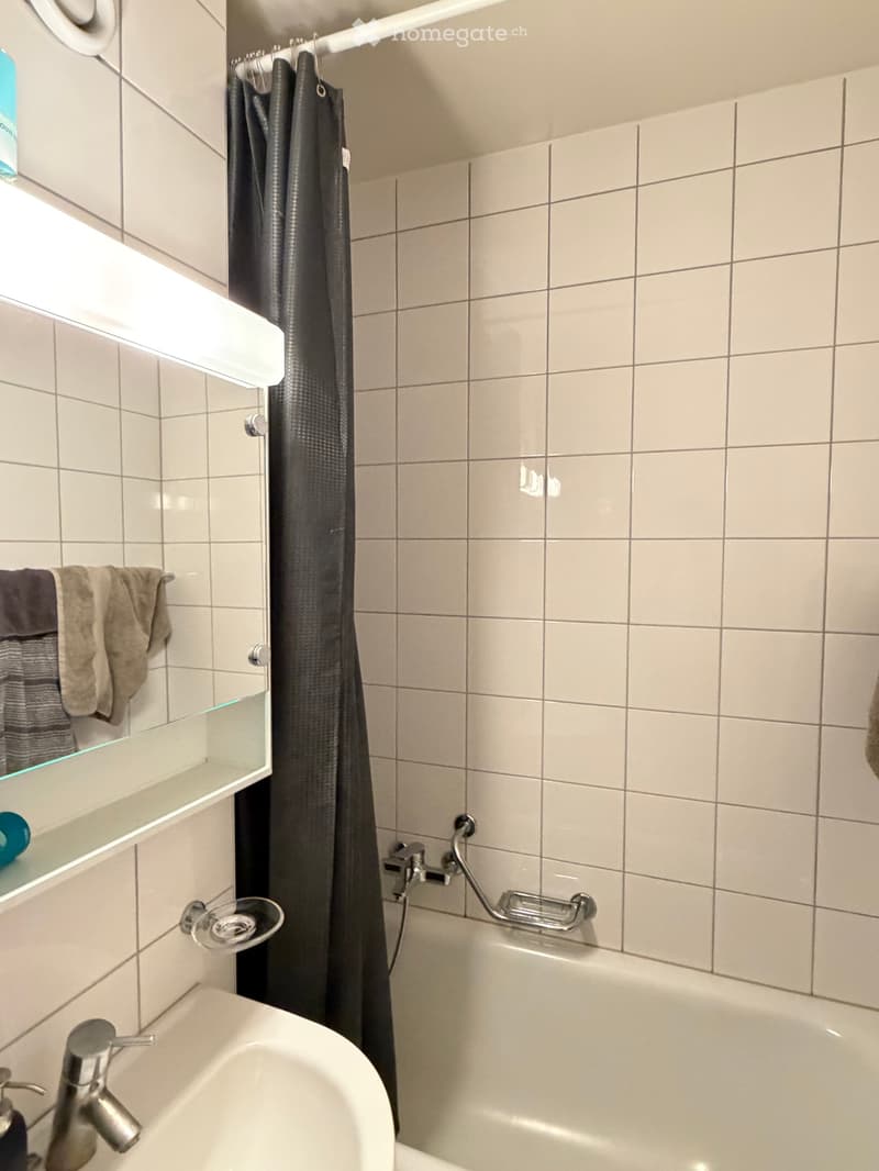 Sous location appartement ecublens (4)