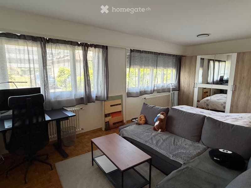 Sous location appartement ecublens (1)