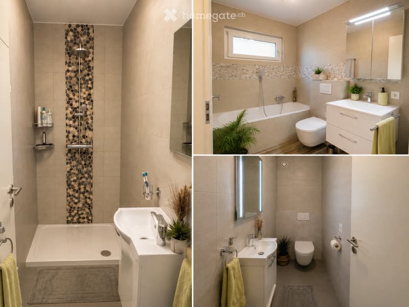 Appartement de 4.5 pièces à Noës (4)