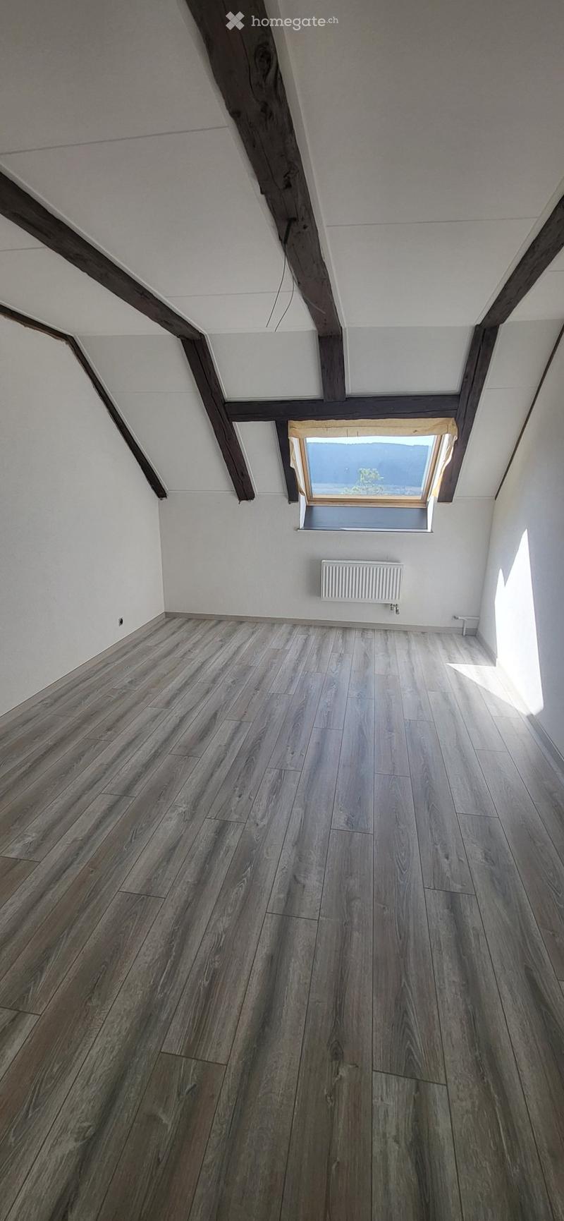 Lumineux appartement entièrement refait à neuf (4)