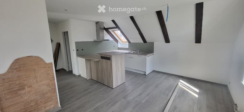 Lumineux appartement entièrement refait à neuf (1)