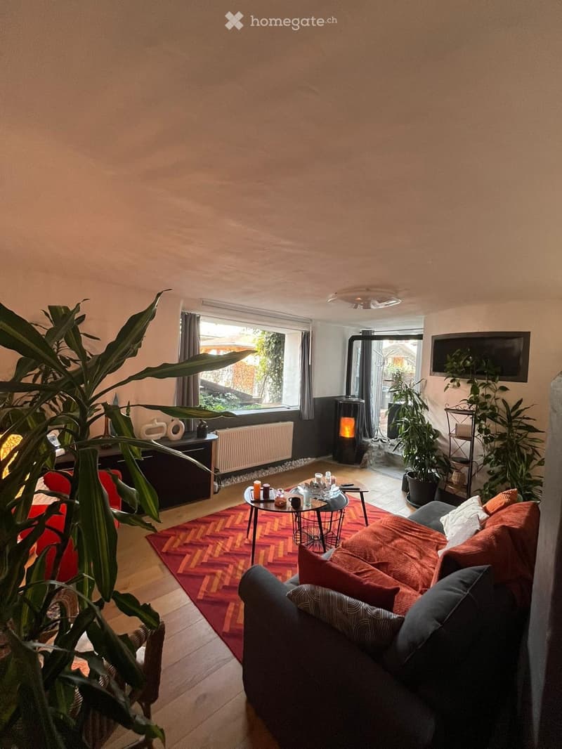 Magnifique duplex coteau de Conthey (1)