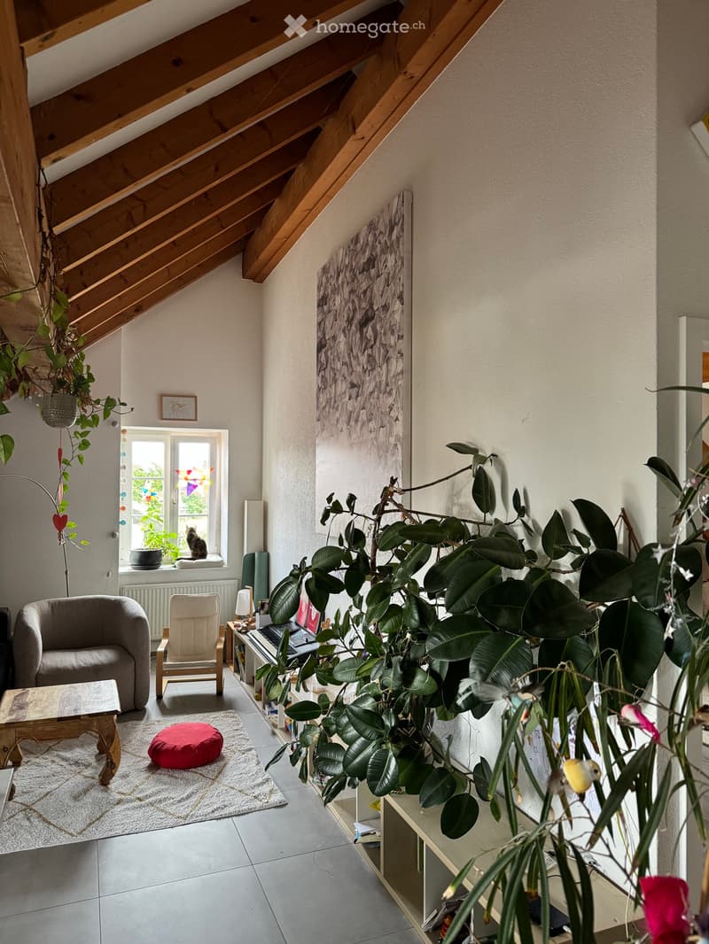 3.5 pièces rénové avec jardin privatif Boussens (1)