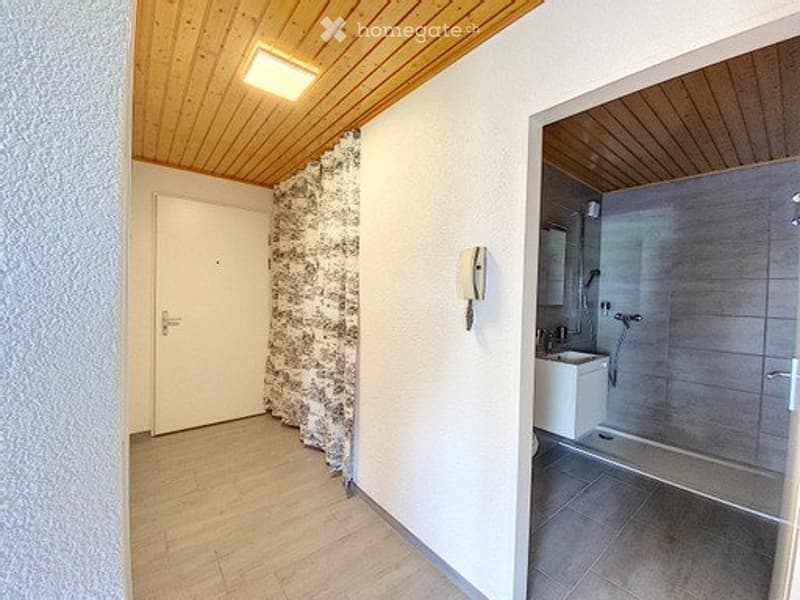 A LOUER APPARTEMENT 2 PIÈCES A SEMSALES (5)