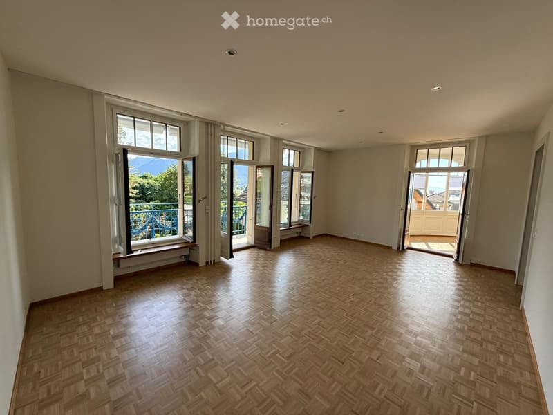Appartement de charme entièrement rénové (2)