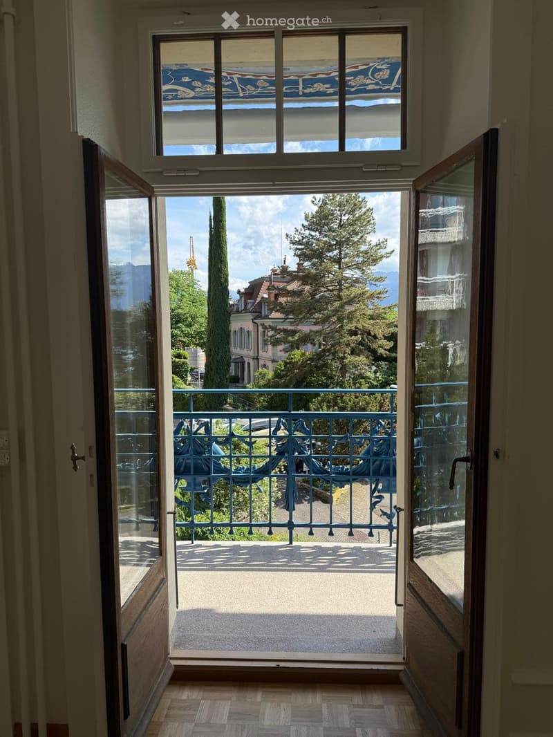 Appartement de charme entièrement rénové (3)