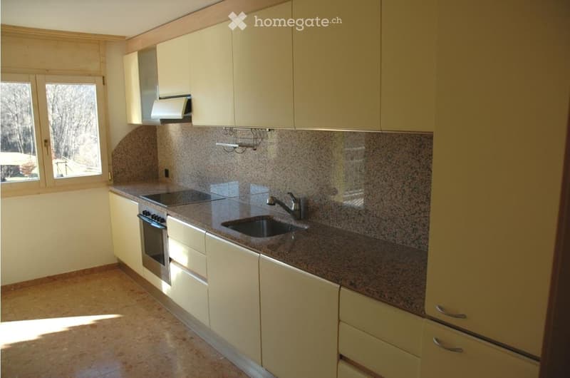 Charmante 3-Zimmer-Wohnung in Arbedo-Castione (3)