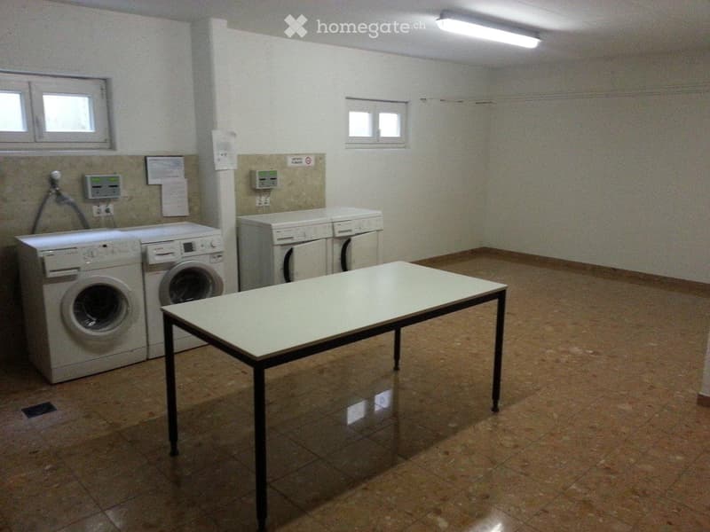 Charmante 3-Zimmer-Wohnung in Arbedo-Castione (2)
