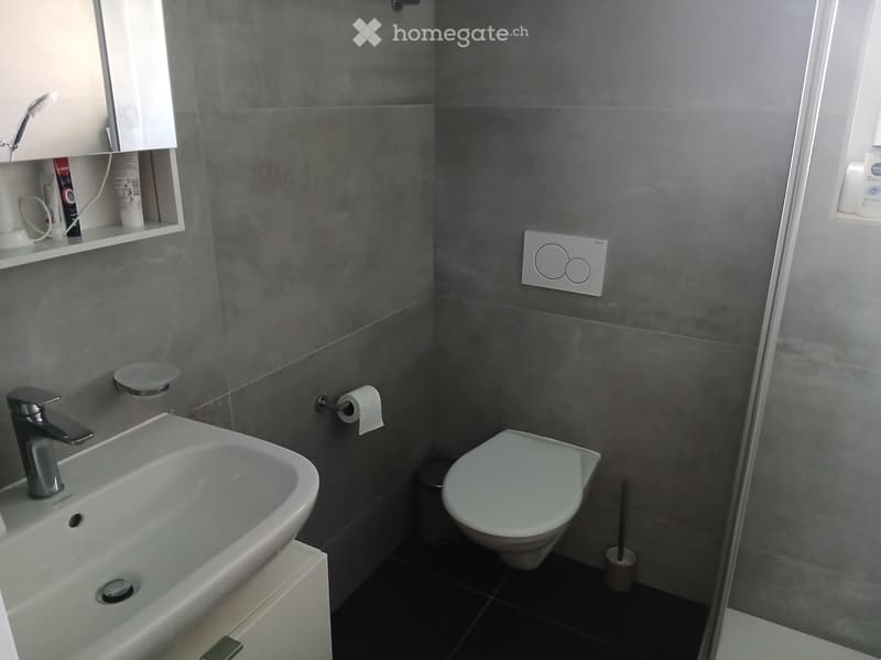 Belle chambre meublée à louer en colocation (2)
