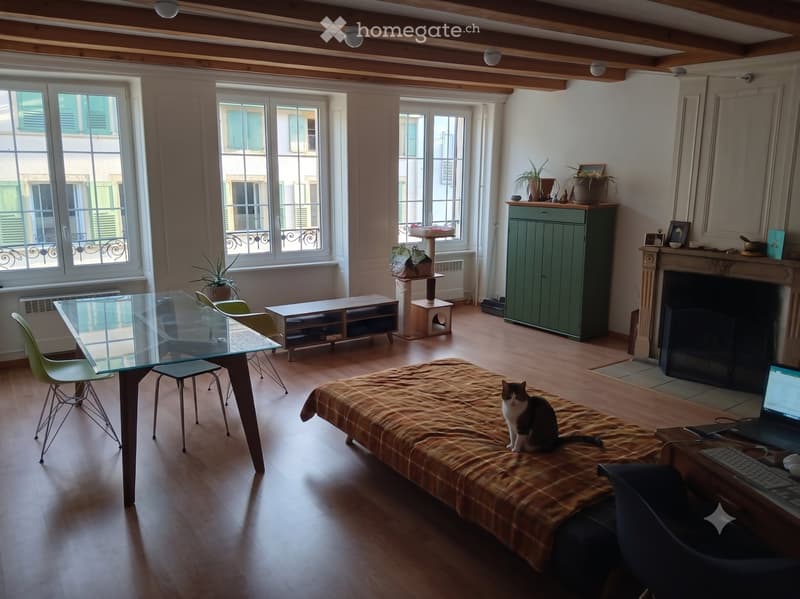 Appartement - 1er septembre ou le 15 août éventuellement (4)