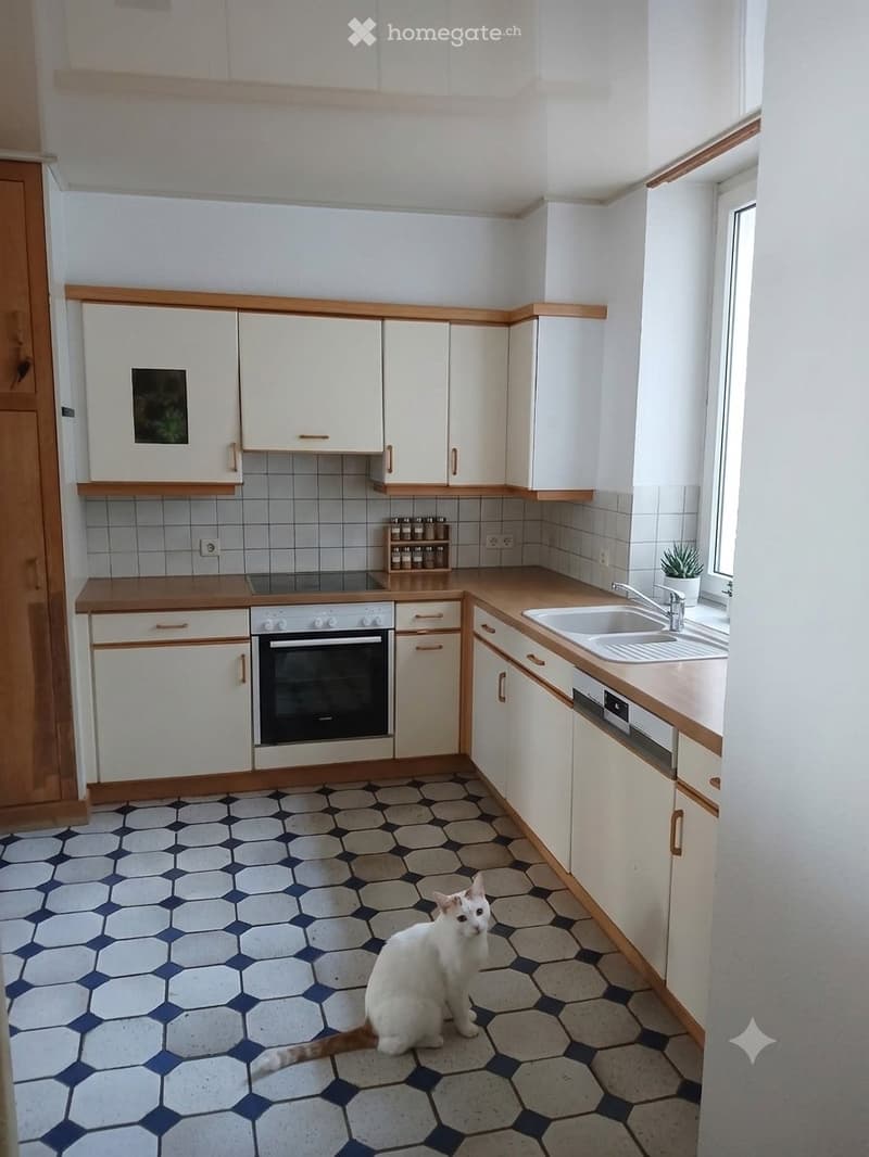 Appartement - 1er septembre ou le 15 août éventuellement (1)