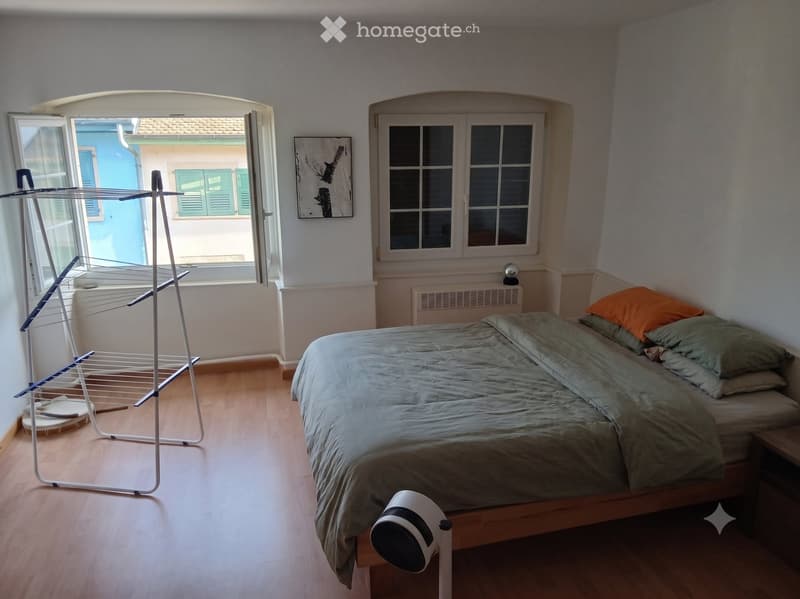 Appartement - 1er septembre ou le 15 août éventuellement (5)