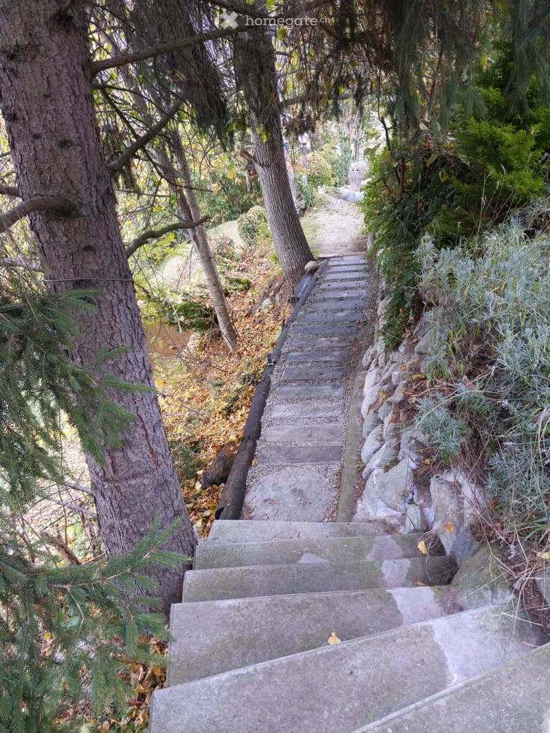 a vendre petit chalet au val d herens (5)
