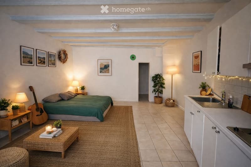 Studio lumineux, Calme au Coeur de Neuchâtel (1)