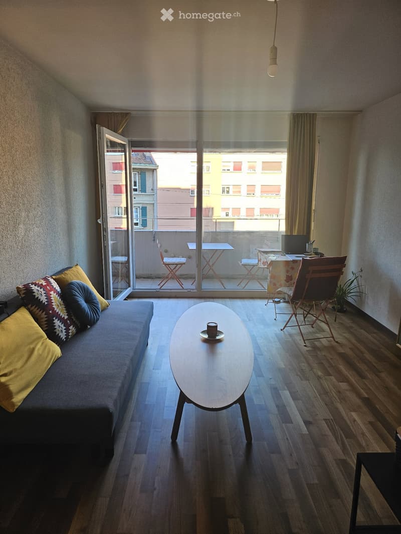 Lumineux Apartment 1.5 pièces à louer (1)