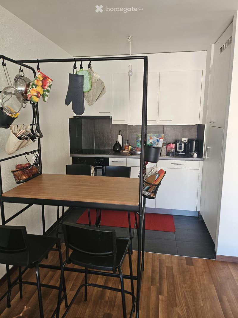 Lumineux Apartment 1.5 pièces à louer (5)