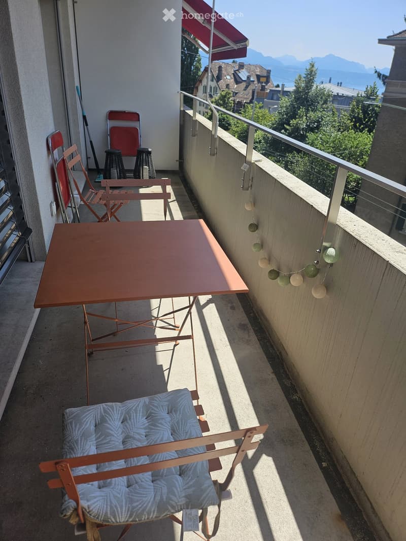 Lumineux Apartment 1.5 pièces à louer (3)